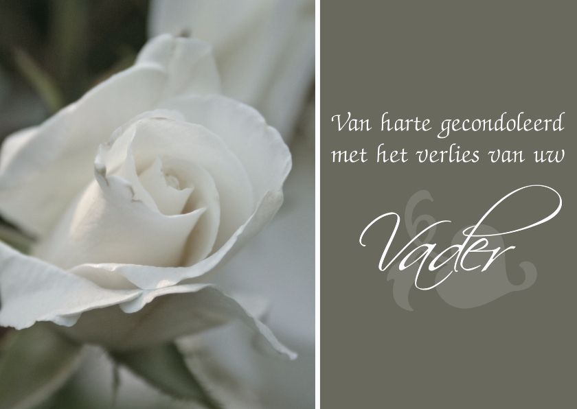 Verlies Van Een Vader