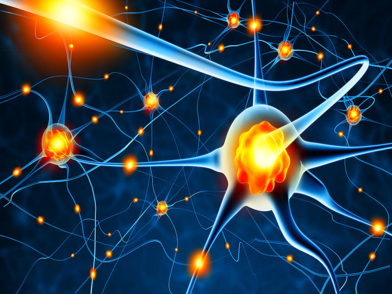 Contact met het INP Instituut voor Neuropathische Pijn - Wat Doet Neuropathie Met Je Hersenen