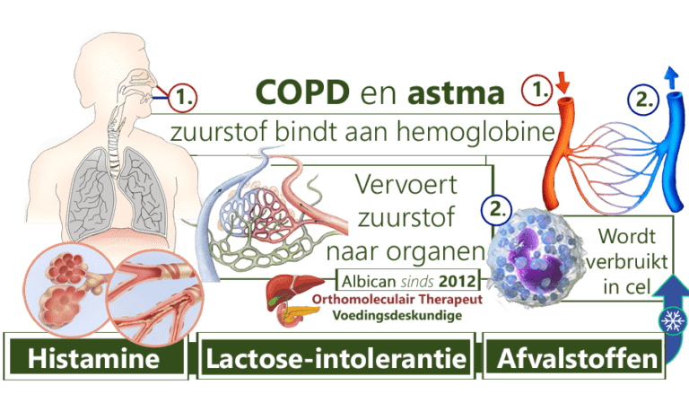 COPD, astma, bronchitis en andere luchtwegaandoeningen - Wat Is Het Verschil Tussen Longemfyseem En Copd