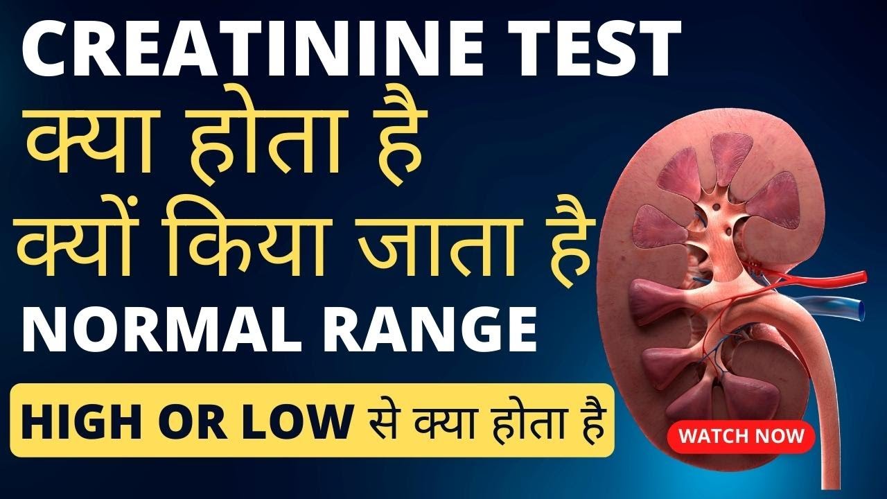 Creatinine level normal range | creatinine test in hindi | creatinine - Wat Is Kreatinine Bij Bloedonderzoek