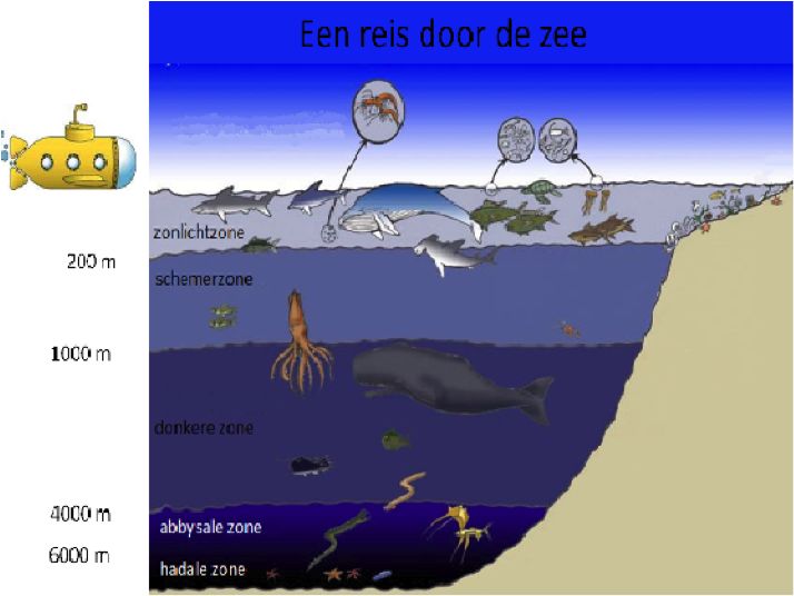 D. De schemerzone / Opdracht 3 Het onderzeese landschap / Onderwerp 2 - Hoe Diep Is Het Diepste Punt Van De Oceaan