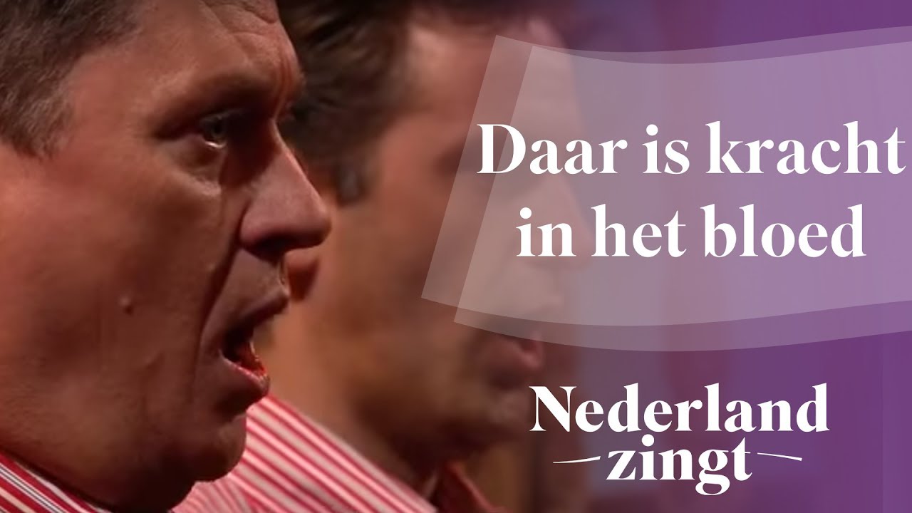 Daar Is Kracht In Het Bloed Tekst: Ontdek De Verborgen Betekenis! – Thủ - Daar Is Kracht In Het Bloed Tekst