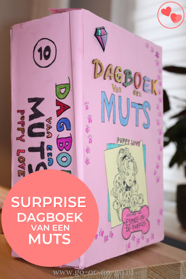 Dagboek van een Muts surprise voor Sinterklaas knutselen - Go or No Go - Kaft Van Een Boek Maken
