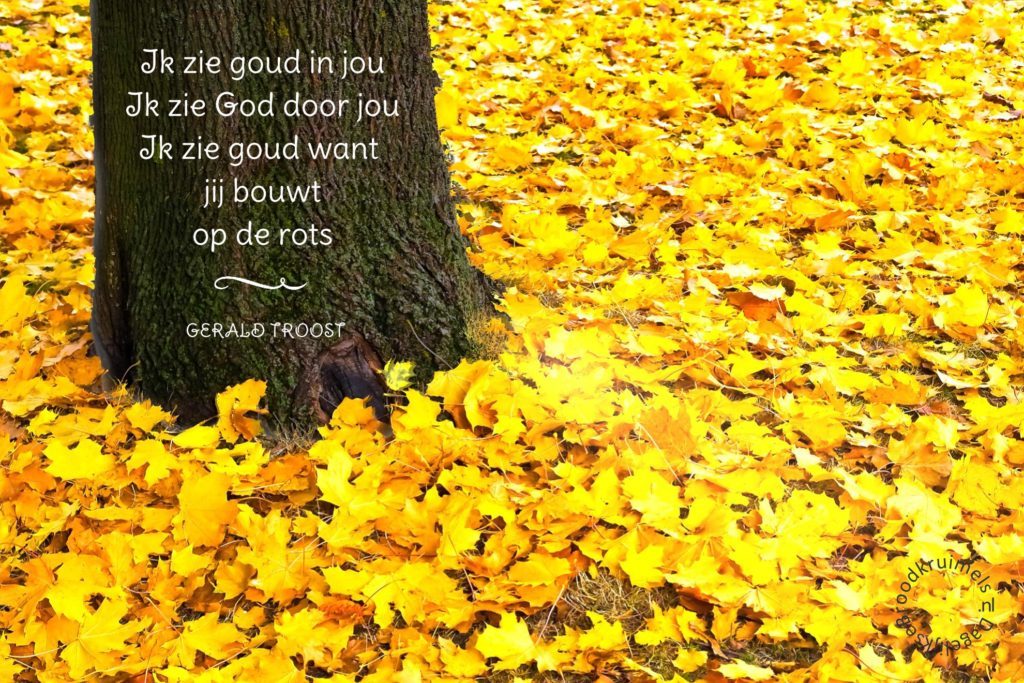 DagelijkseBroodkruimels — Ik zie goud in jou Ik zie goud in jou, ik zie - Ik Zie Goud In Jou