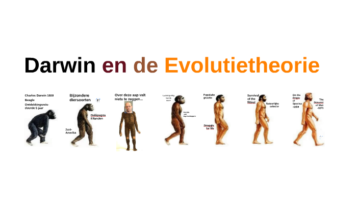 Hoe Heet De Man Die De Evolutietheorie Vooral Heeft Ontwikkeld