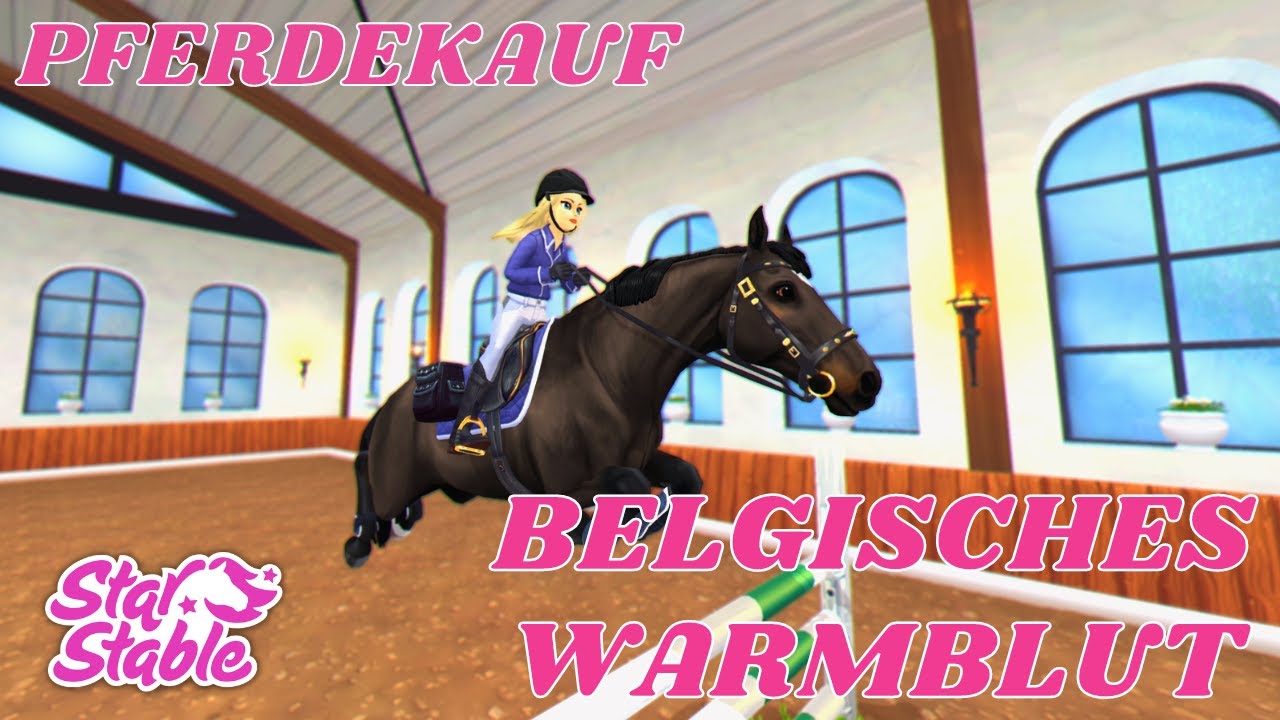 Das Belgische Warmblut // Star Stable Online - YouTube - Waar Staan De Letters Volt Voor
