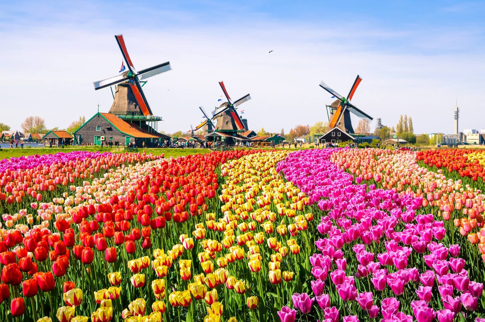 Nederland Van Toen Tot Nu