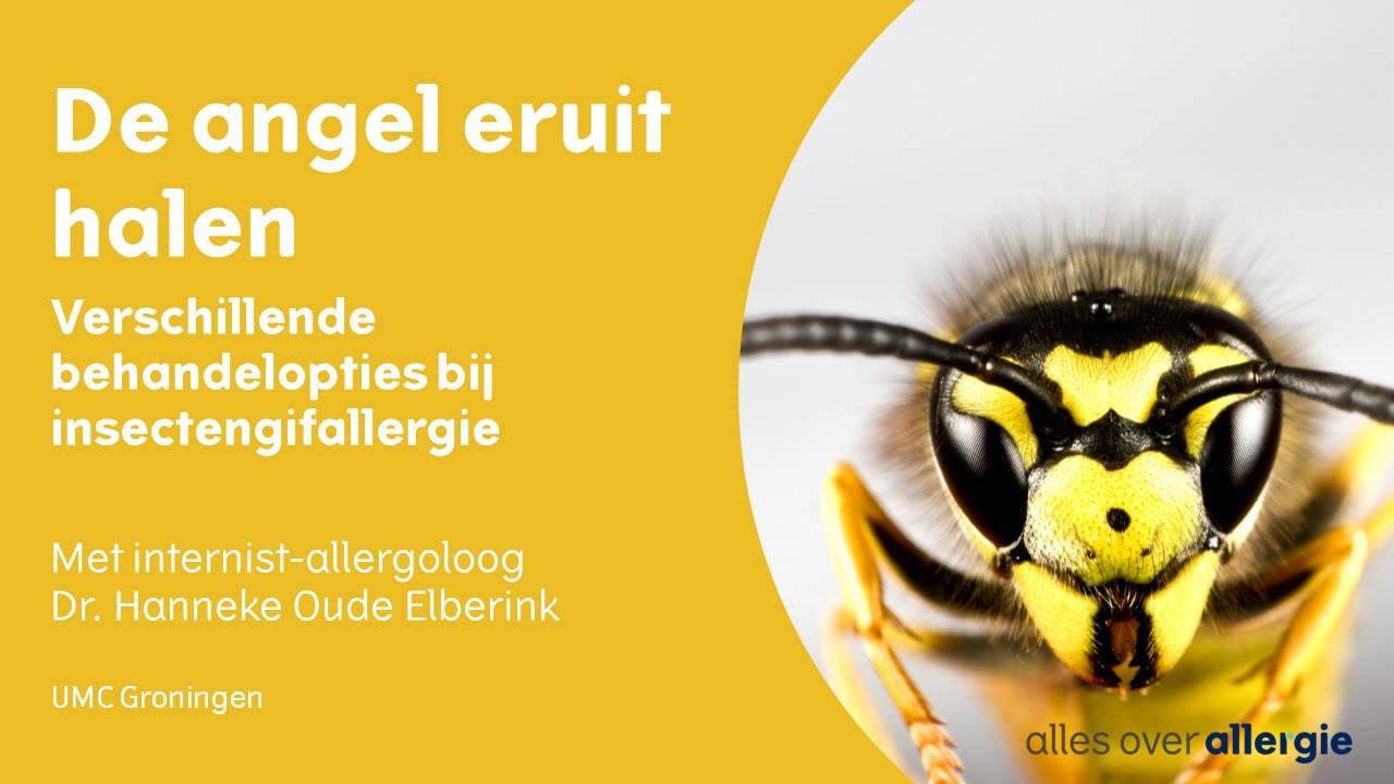 De angel eruit halen - Verschillende behandelopties bij - Heeft Een Wesp Een Angel