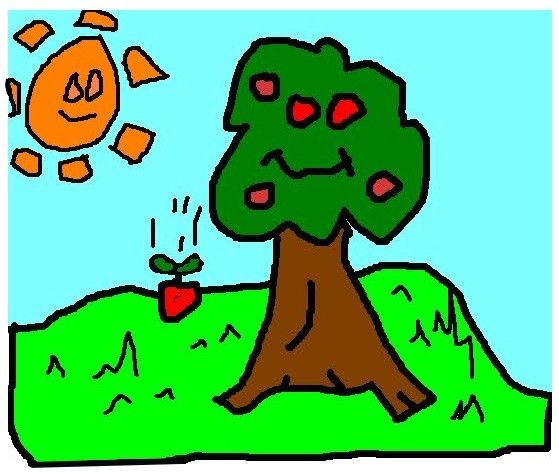 Betekenis De Appel Valt Niet Ver Van De Boom
