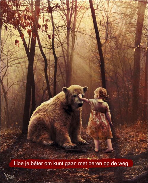 De beste manier om de confrontatie aan te gaan met beren op de weg - Beren Op De Weg Zien Betekenis