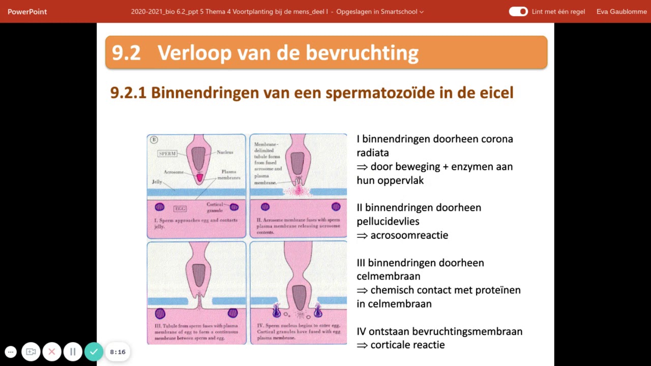 De bevruchting - YouTube - Waar Vindt De Bevruchting Plaats