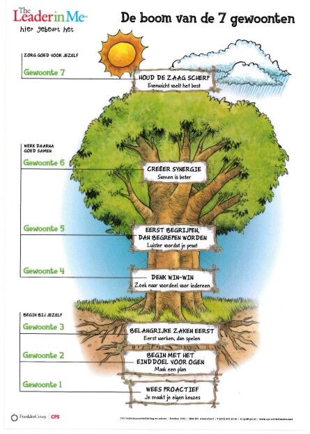 De 7 Gewoonten Van Covey