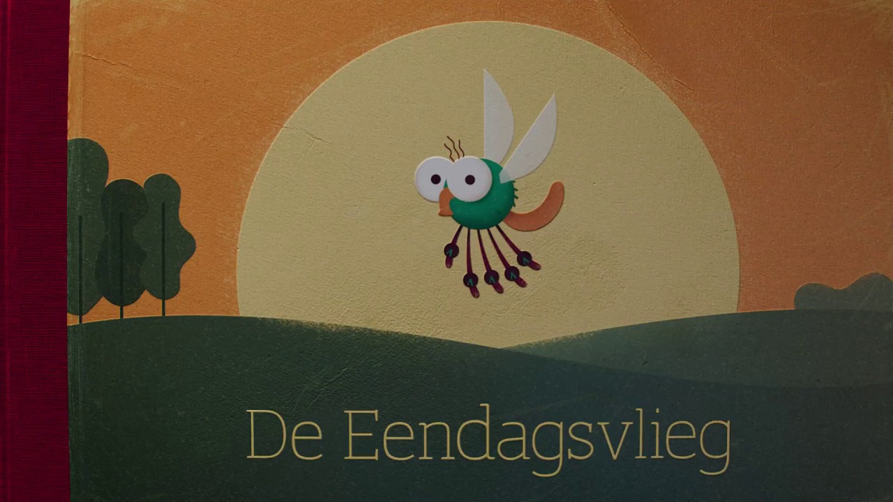 Dit Insect Kennen We Beter Onder De Naam Eendagsvlieg