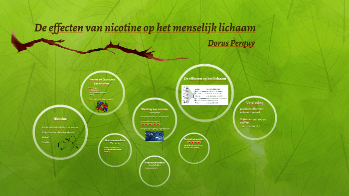 De effecten van nicotine op het menselijk lichaam by Dorus Perquy on Prezi - Wanneer Nicotine Uit Je Lichaam