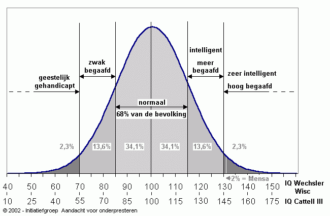 Wat Is Een Gemiddeld Iq