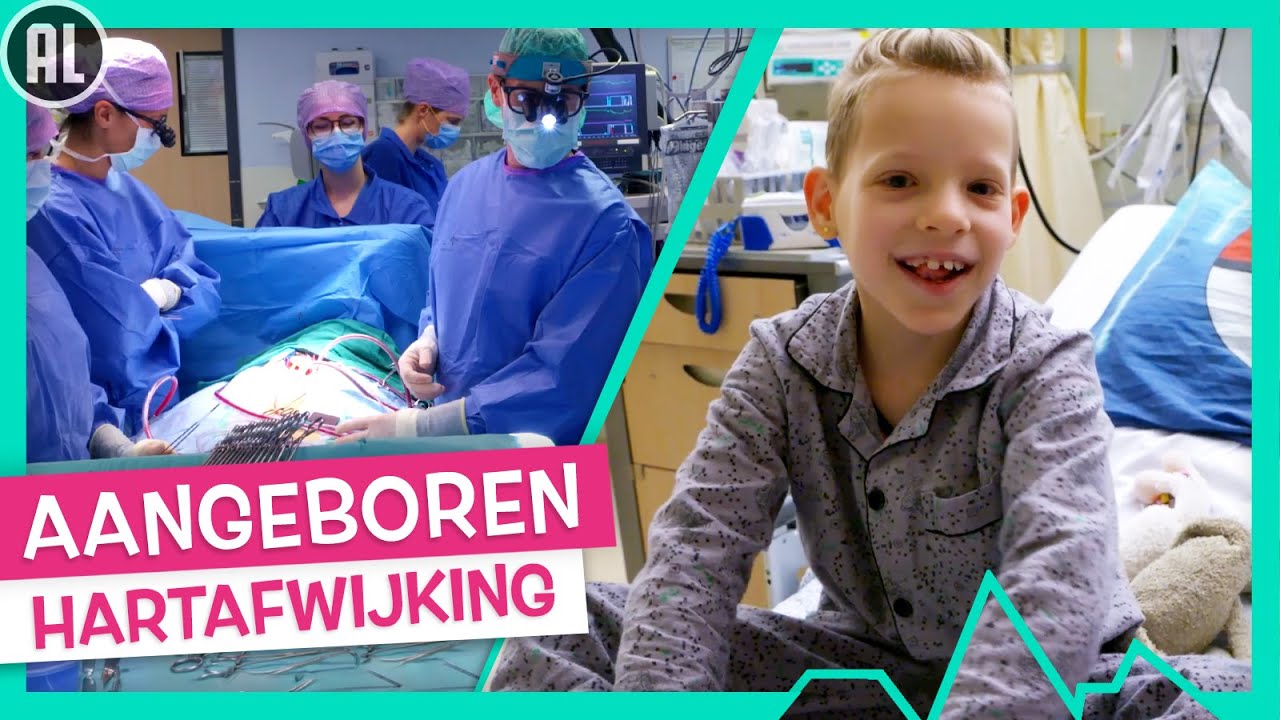 Wat Is De Functie Van De Hartkleppen