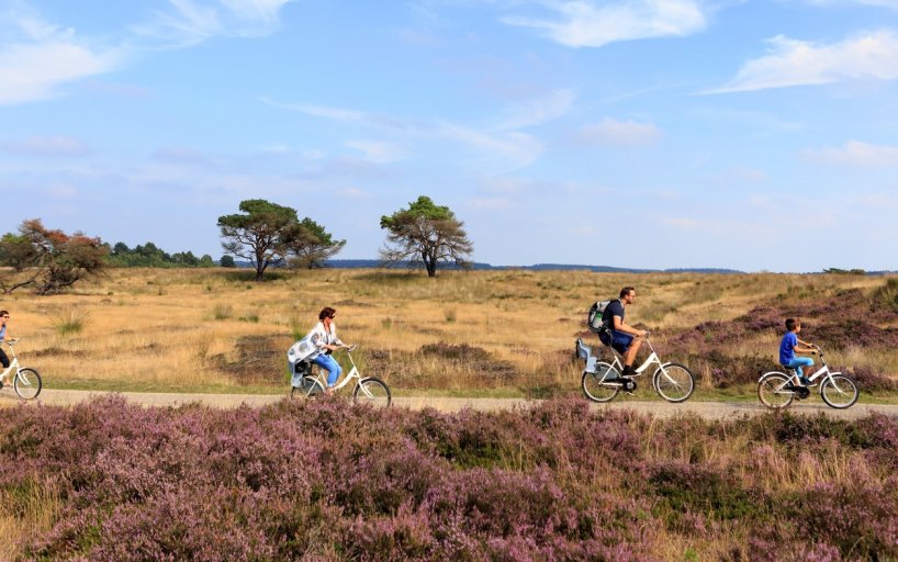 Fietsen In Park De Hoge Veluwe