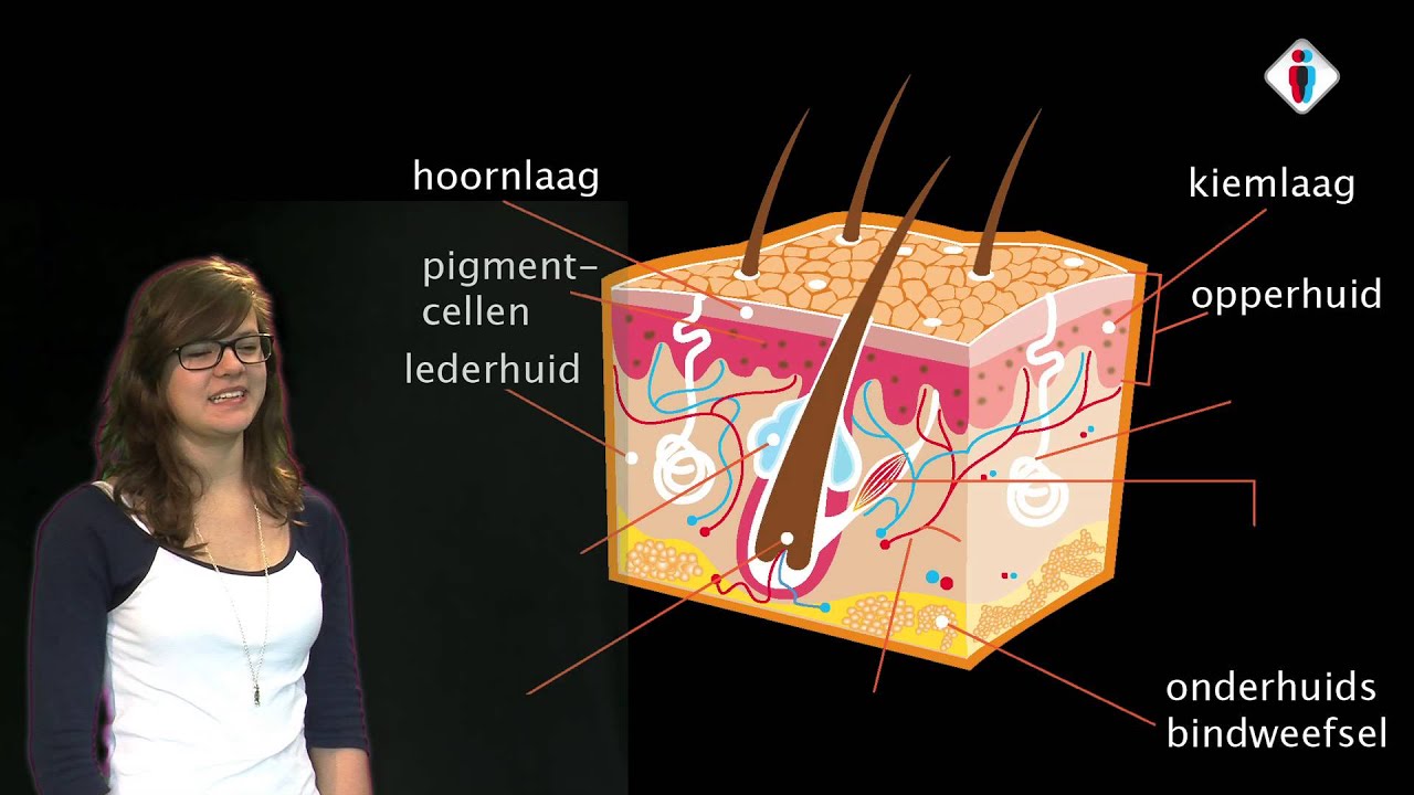 de huid deel 1 - YouTube - Zilver Wordt Zwart Op De Huid