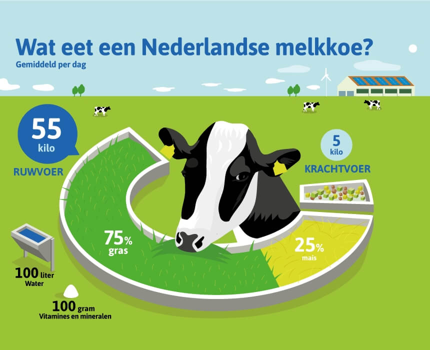 Hoeveel Kg Moet Elke Poot Van De Koe Kunnen Dragen