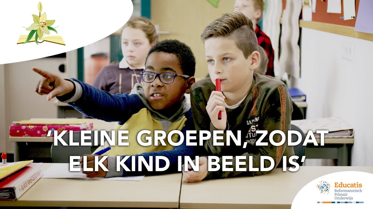 Betekenis Lelie In De Bijbel