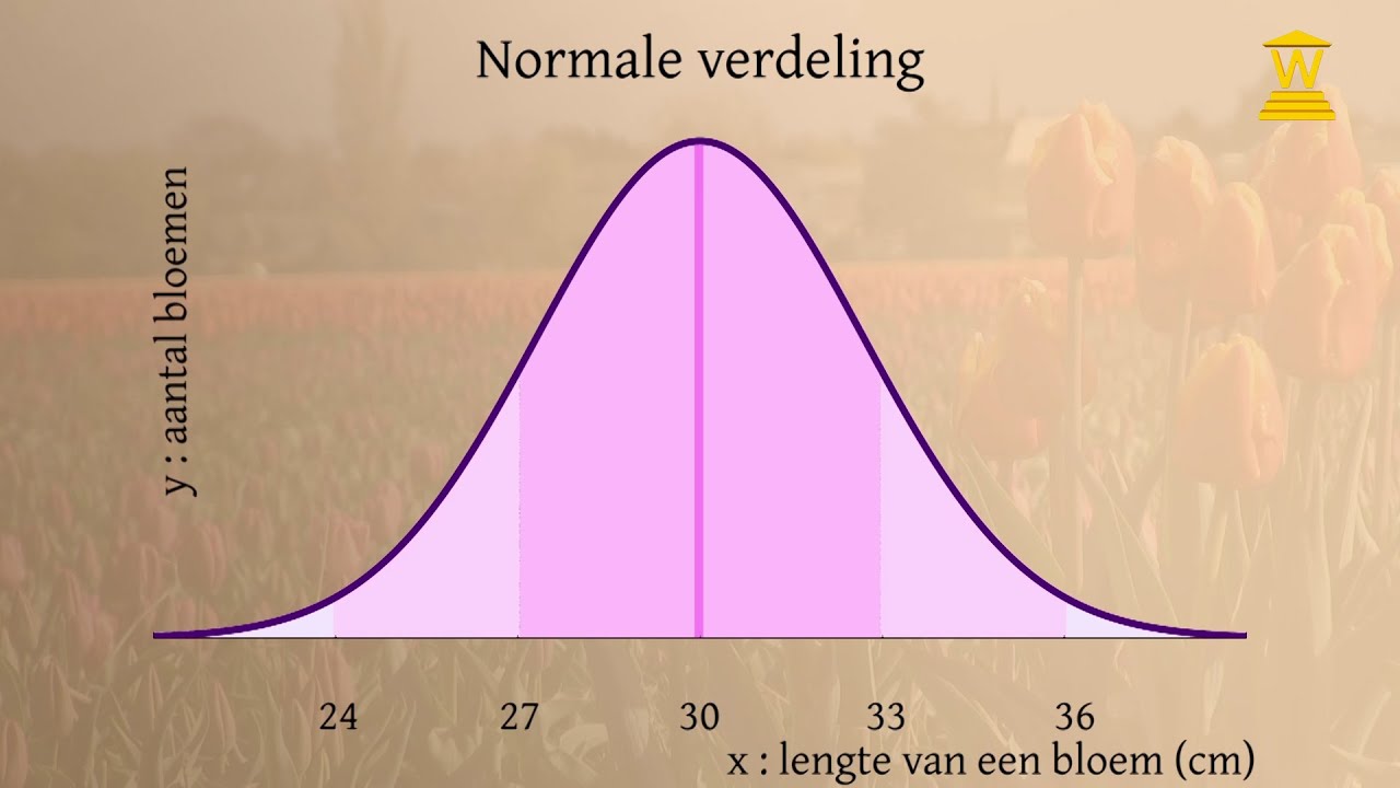 De normale verdeling (deel 3): Gemiddelde, standaardafwijking en - Wat Is Een Normale Stagevergoeding