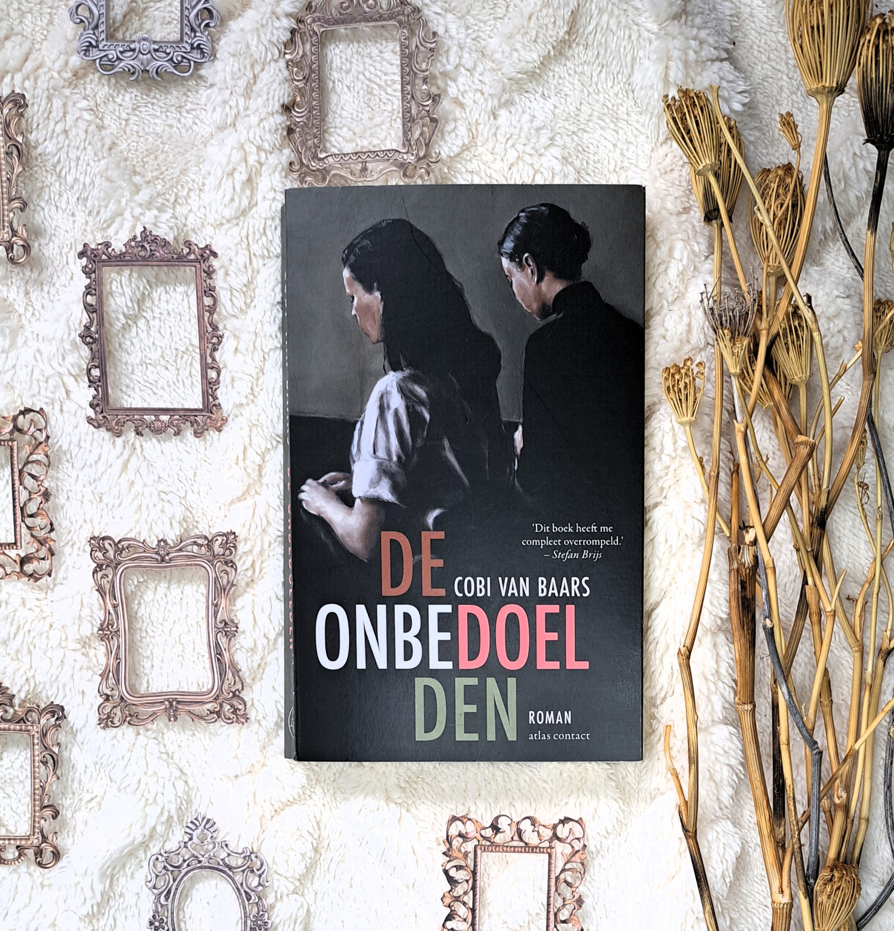 De onbedoelden- Cobi van Baars :: Annelies leest - Coby Van Baars De Onbedoelden
