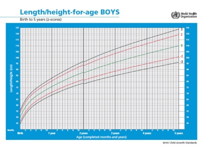 De Ontwikkeling van Baby naar Peuter - Knabbel & Babbel - Hoeveel Baby's Worden Er Per Dag Geboren In De Wereld