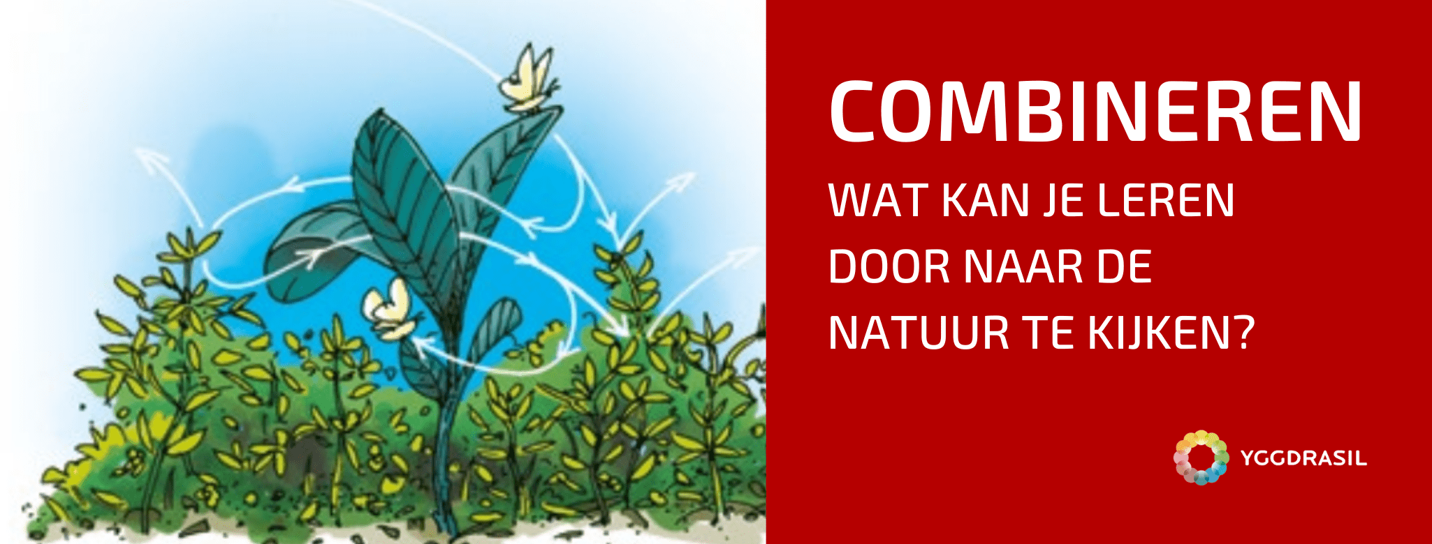 De Oorsprong van het Systeem van Schijnbare Chaos - Yggdrasil - Oorsprong Van Een Rivier 4 Letters