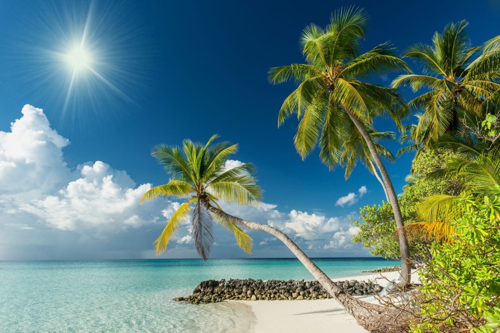 De perfecte zonvakantie februari - Ailantus - Wanneer Is De Vakantie In Februari