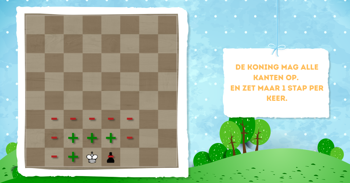 De regels van schaken. Alles wat je moet weten - Mag De Koning Slaan Als Hij Schaak Staat
