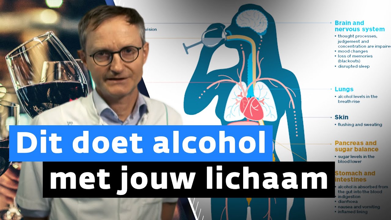De schade die alcohol kan aanrichten in jouw lijf - YouTube - Niet Meer Tegen Alcohol Kunnen Lever