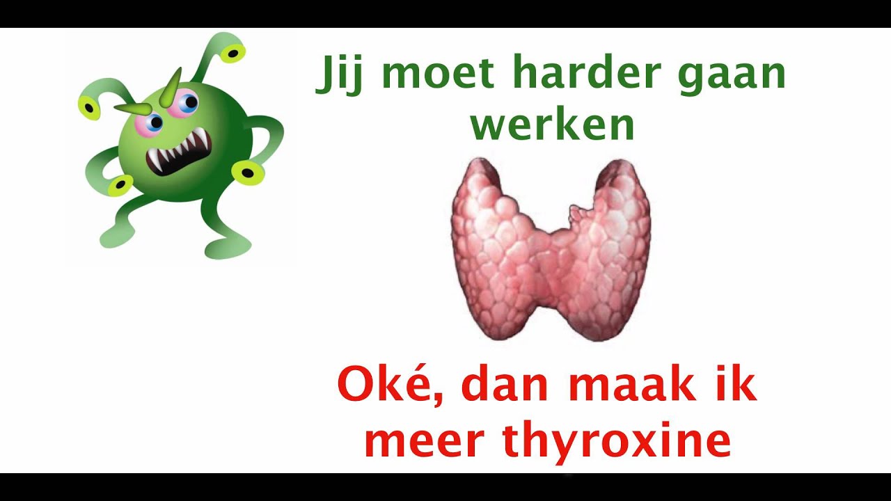 Schildklier En Diabetes Type 2