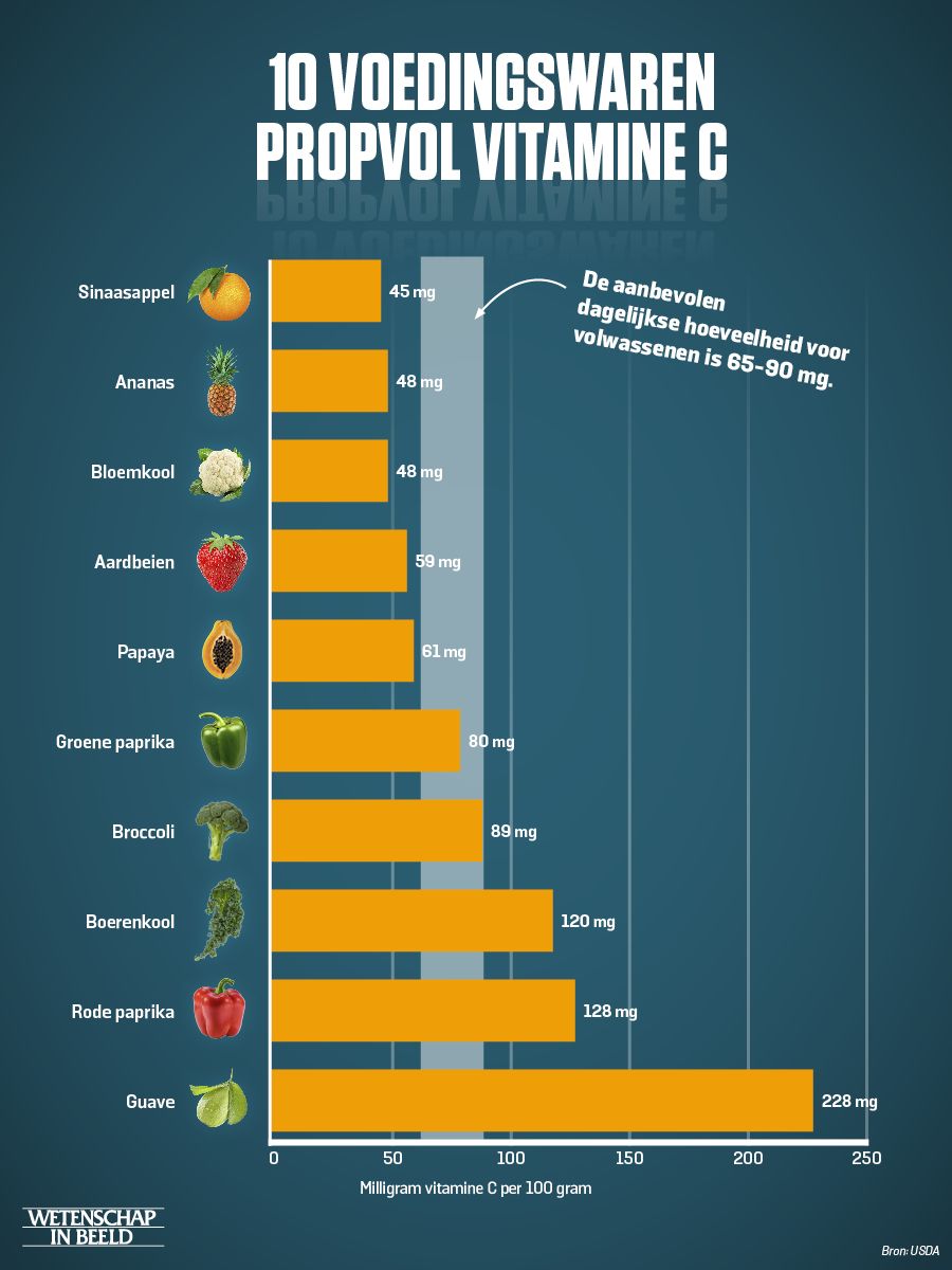 Hoeveelheid Vitamine C In Sinaasappel