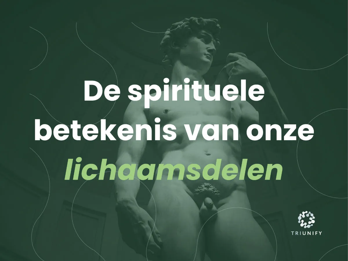 De spirituele betekenis van onze lichaamsdelen - Hoeveel Dimensies Zijn Er Spiritueel