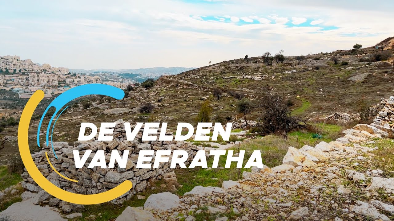 Lofzanger In De Velden Van Efrata