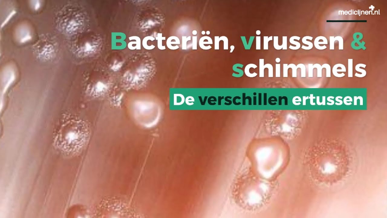 De verschillen tussen bacteriën, virussen en schimmels - YouTube - Welke Schimmel Wordt Gebruikt Om Een Antibioticum Te Maken