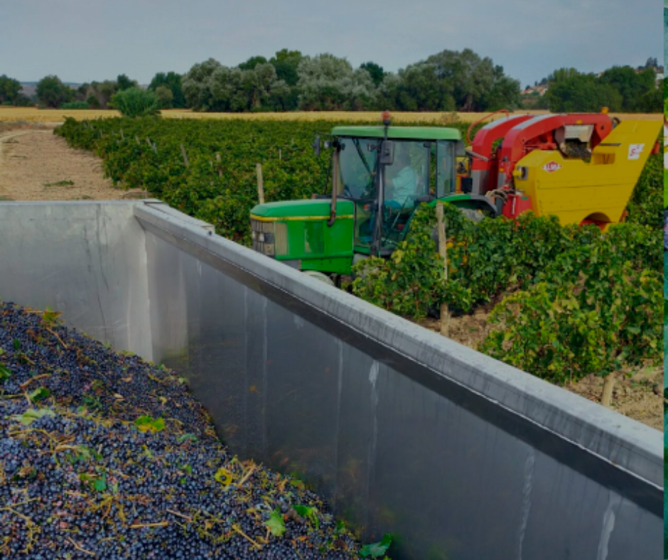 De vrijgevigheid van het land en het goede werk dragen vrucht - van - Welke Vrucht Is Naar Een Land Genoemd