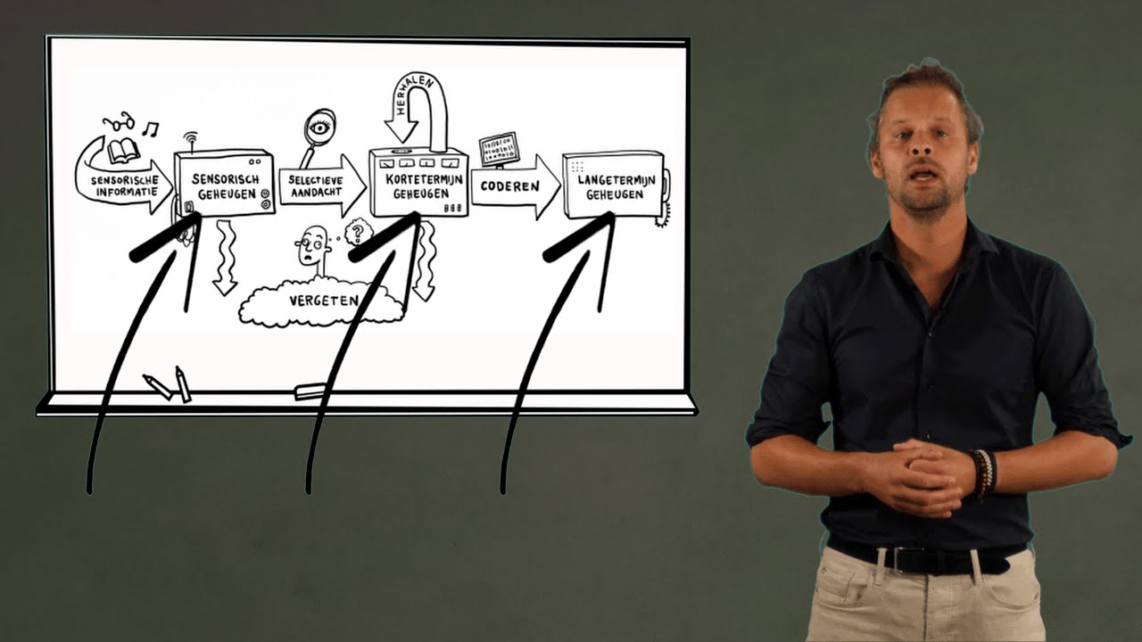De werking van het geheugen - Hersenen en leren Deel 2 - YouTube - Last Van Korte Termijn Geheugen