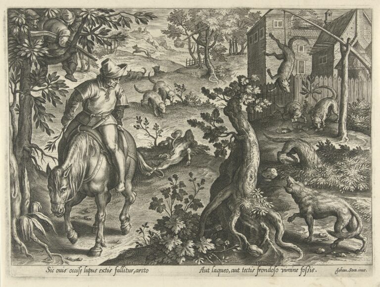 Geschiedenis Van De Wolf In Nederland