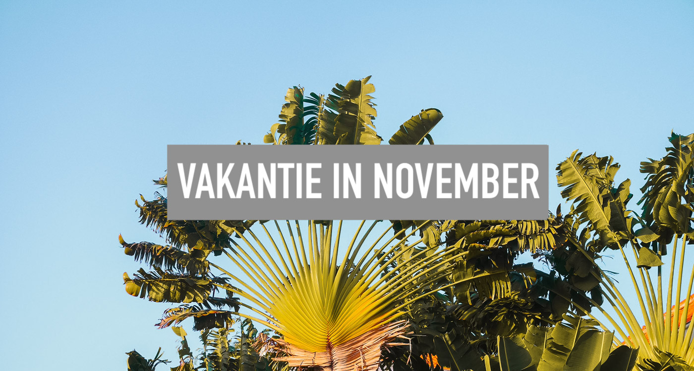 December Sat Reddit 2025 Vakantie - Mark A. Bowers - Wanneer Is Het Mei Vakantie