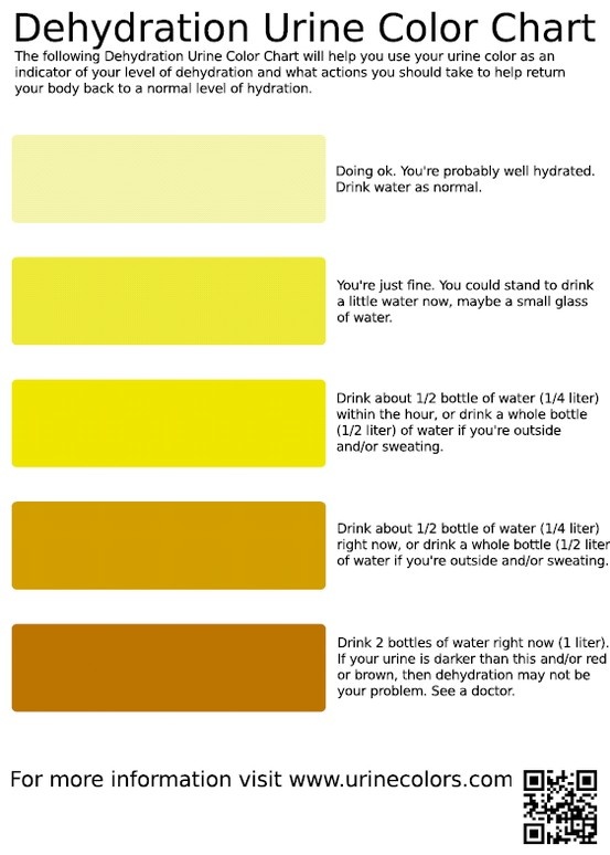 Dehydration Urine Color Chart | Infographic health, Nutrition chart, Urinal - Wat Zegt De Kleur Van Urine