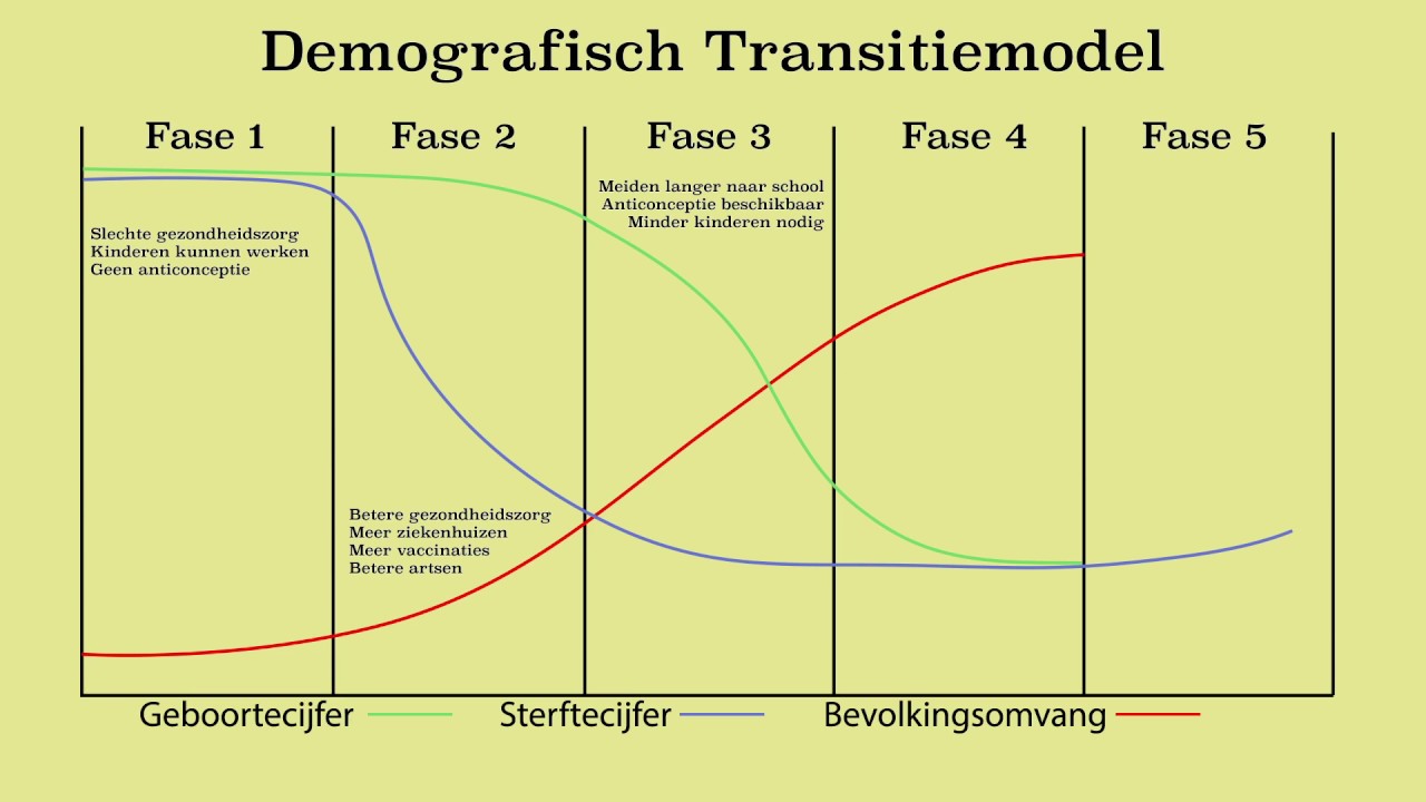 In Welke Fase Van Het Demografische Transitiemodel Zit Nederland