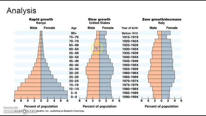 Demographic Transition And Population Pyramids
