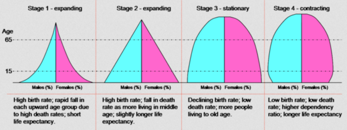 Demographic Transition And Population Pyramids - Demographic Transition And Population Pyramids