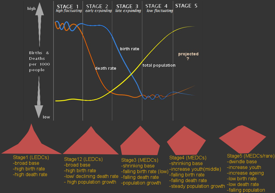 Demographic Transition And Population Pyramids - Demographic Transition And Population Pyramids