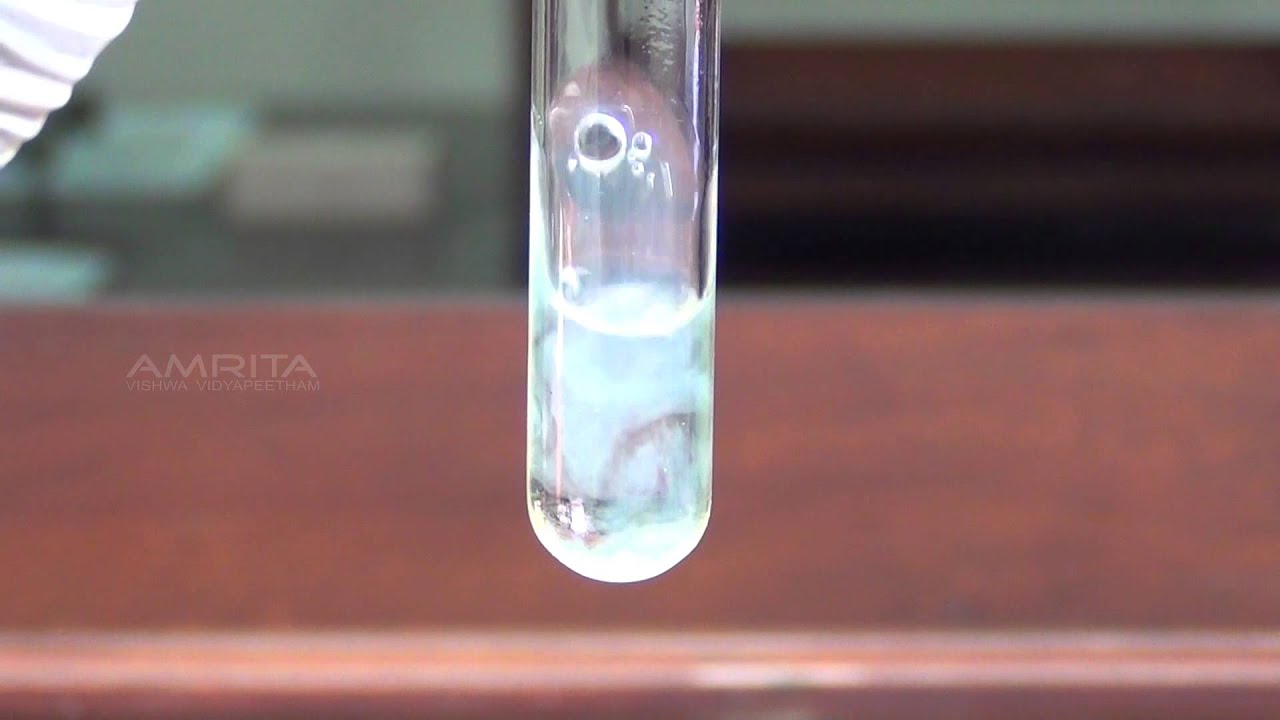 Detection of Albumin in Urine - MeitY OLabs - YouTube - Albumine Urine Portie Te Hoog
