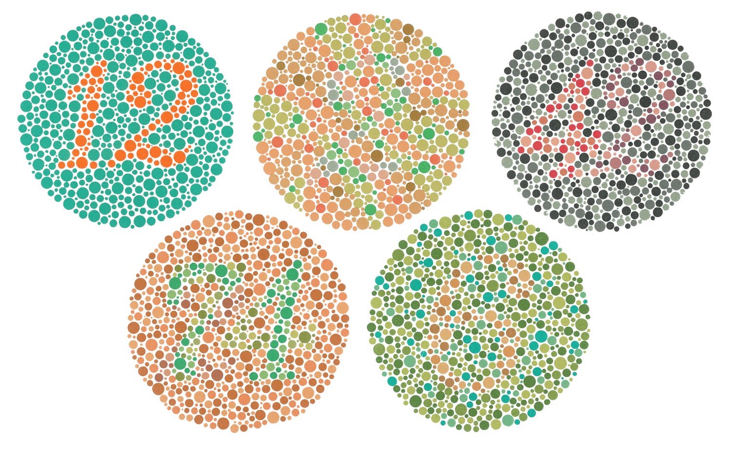 Deutan Color Blind Glasses Sale Online | emergencydentistry.com - Wat Ziet Iemand Die Kleurenblind Is