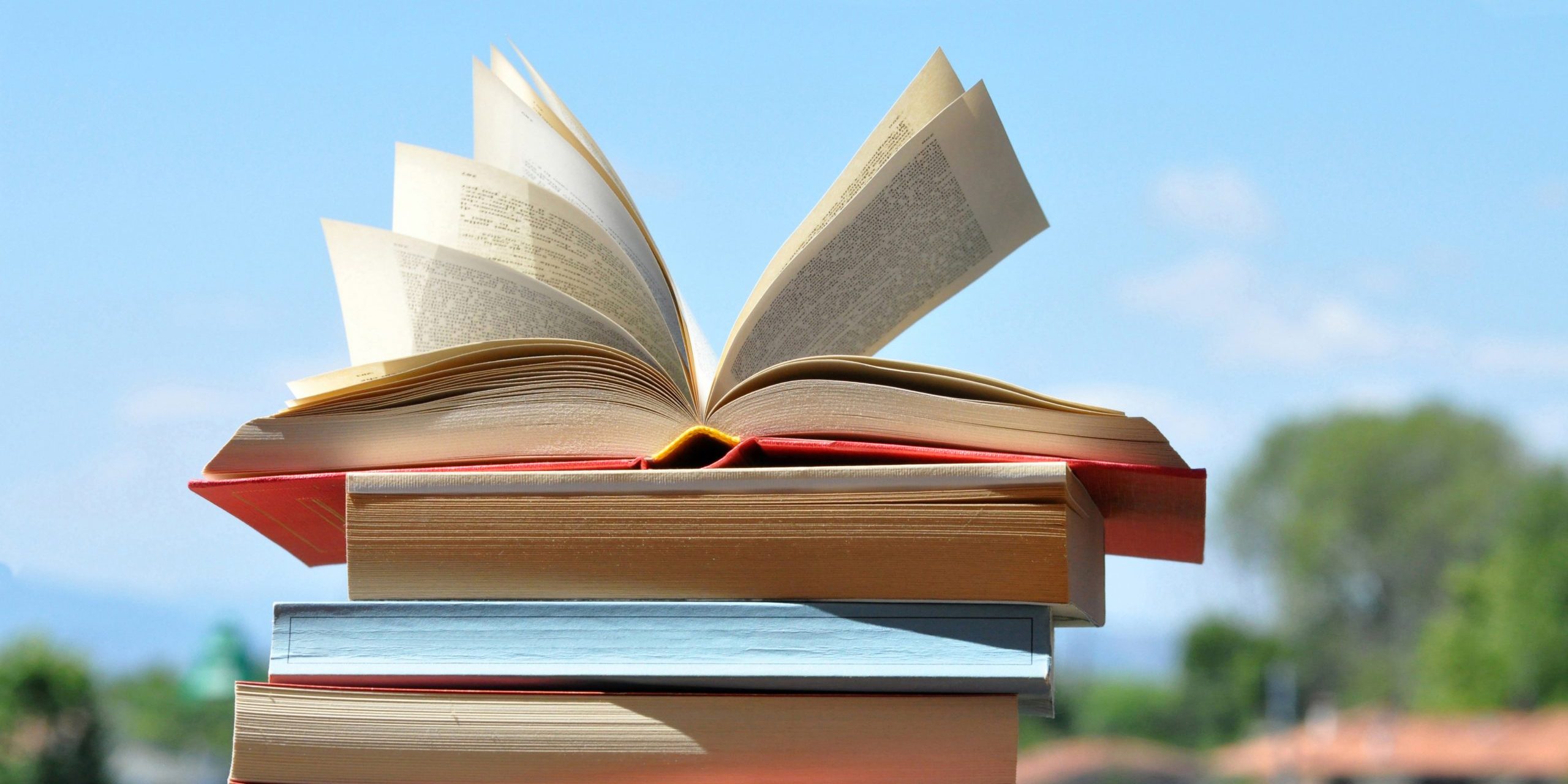 Deze 9 boeken wil je lezen tijdens je vakantie | MT/Sprout - Lezen Voor De Lijst Niveau 4 Aanraders