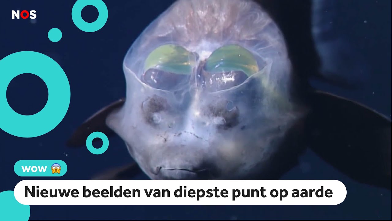 Diepe Inzinking In De Zeebodem