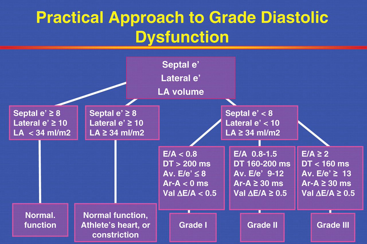 Diastolic dysfunction | Pharmacology nursing, Nursing school survival - Diastolische Dysfunctie Graad 1 Betekenis